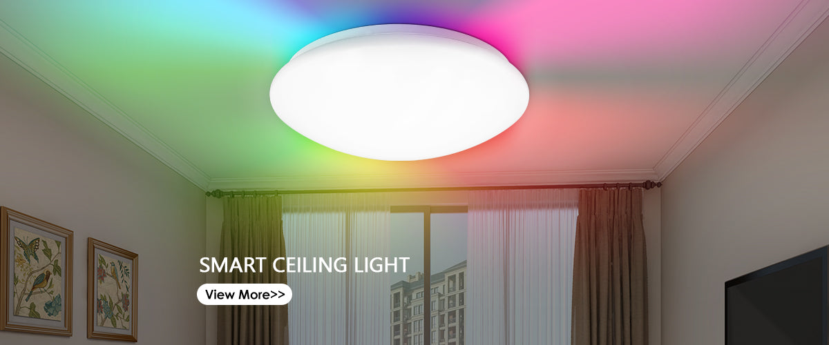 Ceilng Light