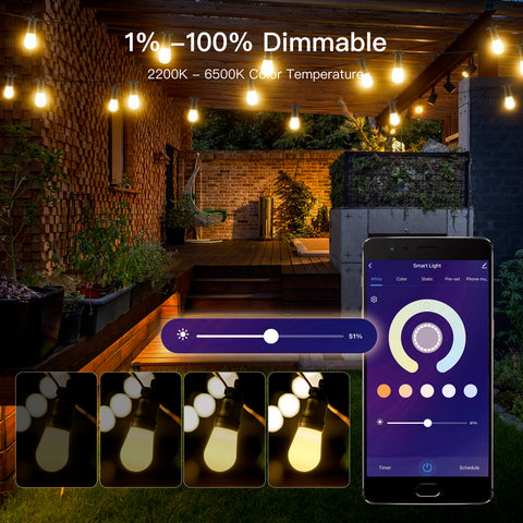 Smart Wifi String Lights